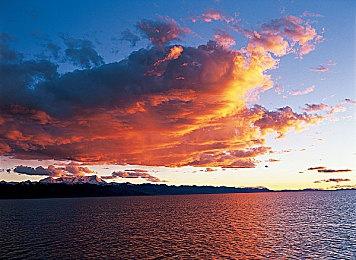 卡通唯美风《Omno》7月29日发售 试玩版已上架Steam